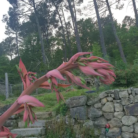 Chez Marcel 3* Rosières