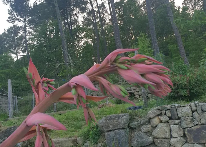 Chez Marcel 3* Rosières